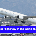 Busiest Flight way in the World for 2024