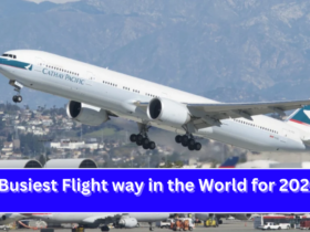 Busiest Flight way in the World for 2024