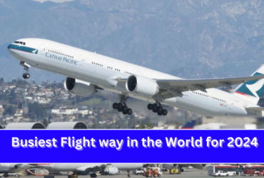 Busiest Flight way in the World for 2024