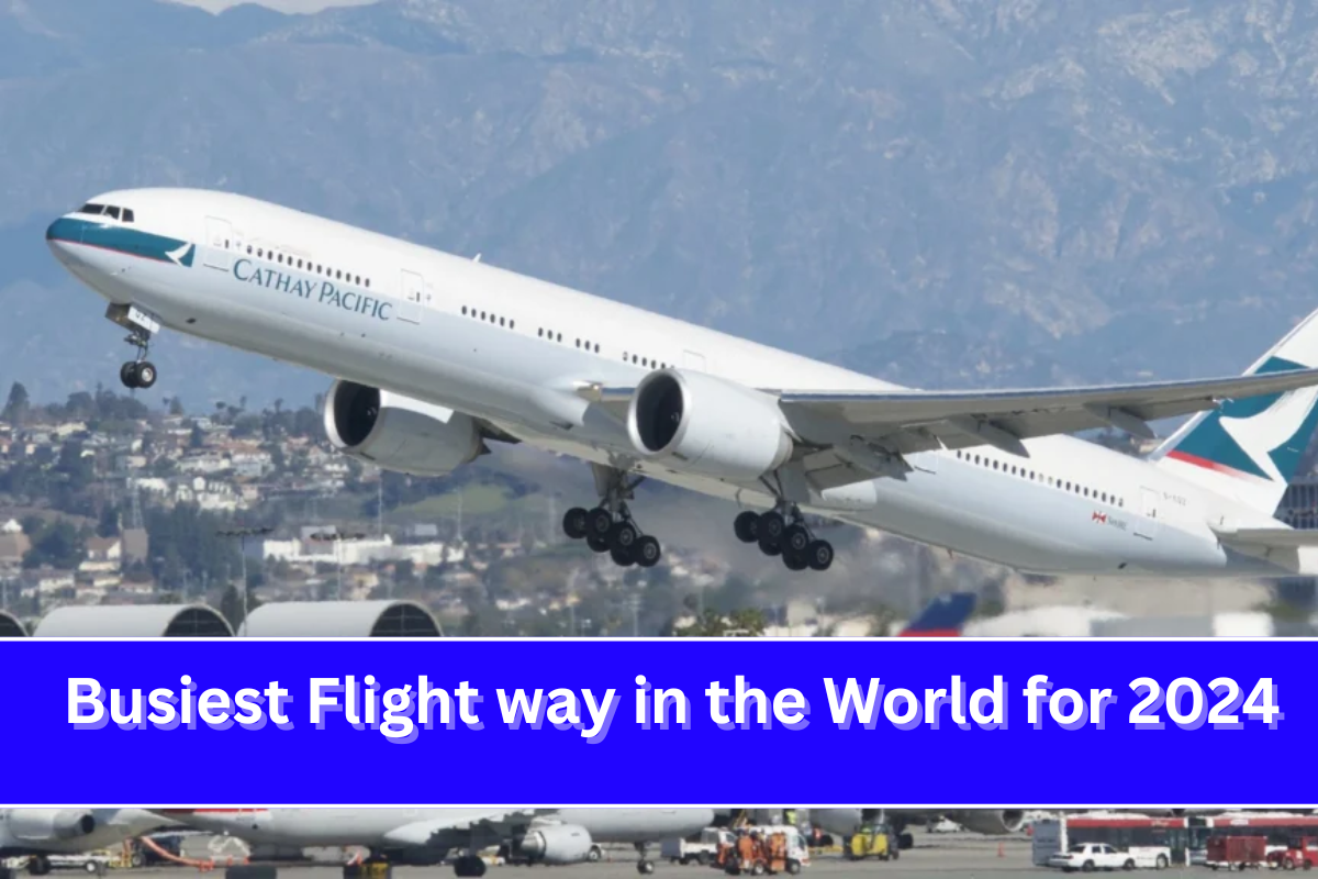 Busiest Flight way in the World for 2024