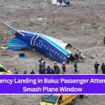 Emergency Landing in Baku: Passenger Attempts to Smash Plane Window