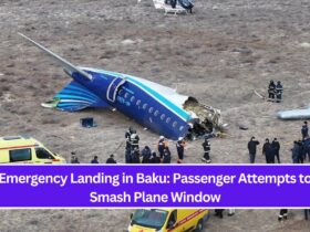 Emergency Landing in Baku: Passenger Attempts to Smash Plane Window