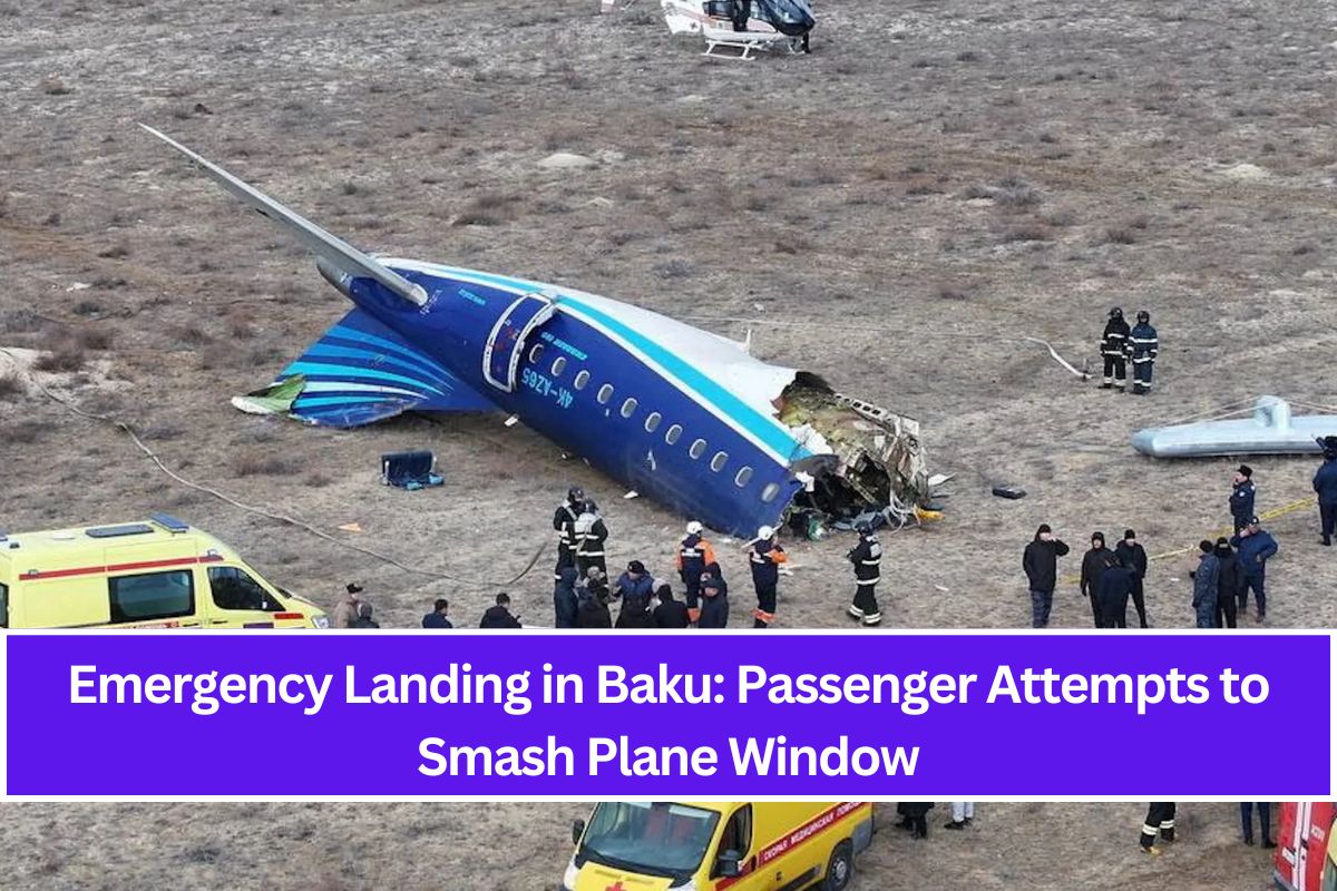 Emergency Landing in Baku: Passenger Attempts to Smash Plane Window