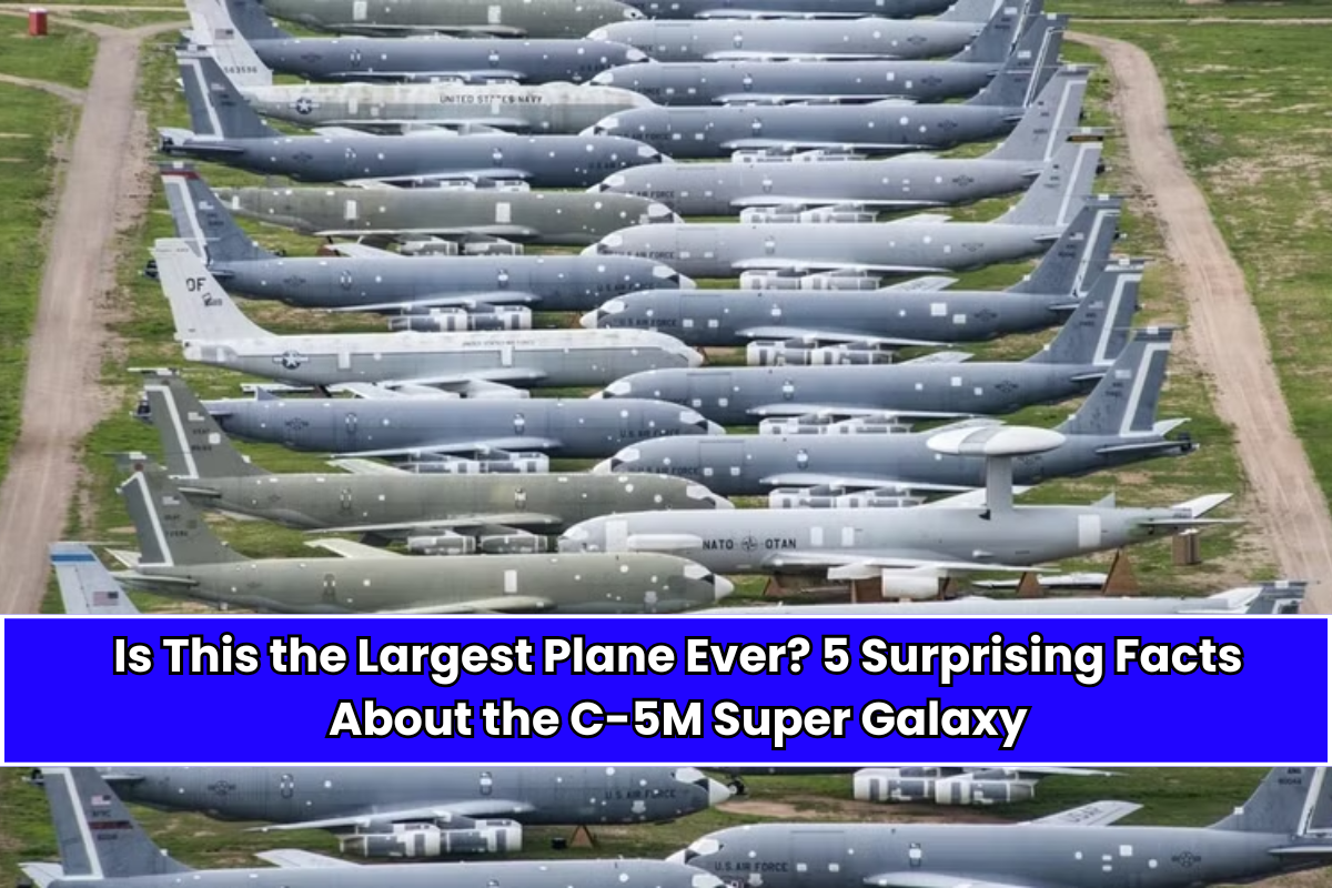 Is This the Largest Plane Ever 5 Surprising Facts About the C-5M Super Galaxy