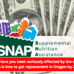 SNAP Have you been seriously affected by the weather This is how to get replacement in Oregon by 2024.