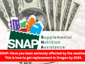 SNAP Have you been seriously affected by the weather This is how to get replacement in Oregon by 2024.