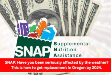 SNAP Have you been seriously affected by the weather This is how to get replacement in Oregon by 2024.