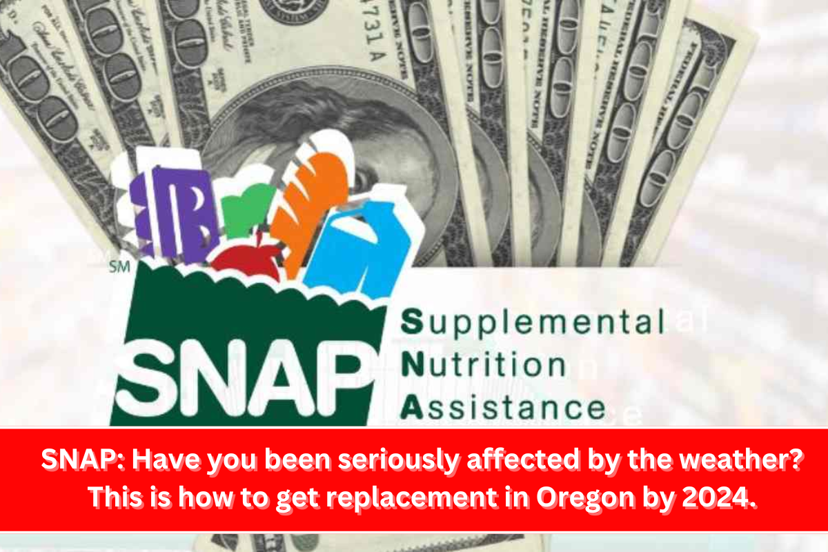 SNAP Have you been seriously affected by the weather This is how to get replacement in Oregon by 2024.