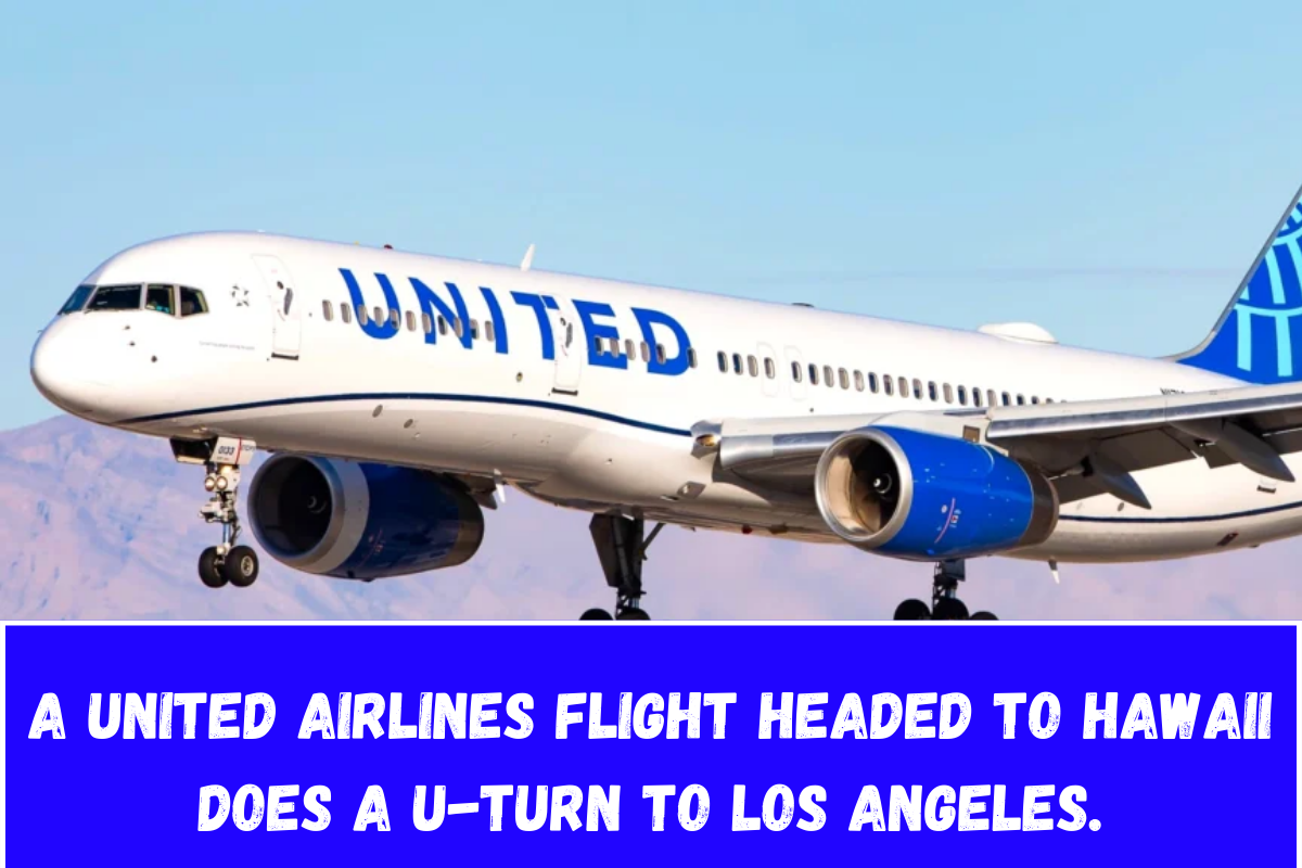 A United Airlines flight headed to Hawaii does a U-turn to Los Angeles.