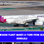 A330 Hawaiian Flight Makes U-Turn from Seattle to Honolulu