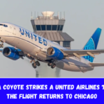 After a coyote strikes a United Airlines 737 MAX, the flight returns to Chicago