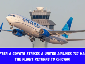 After a coyote strikes a United Airlines 737 MAX, the flight returns to Chicago