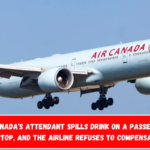 Air Canada's attendant spills drink on a passenger's laptop, and the airline refuses to compensate.