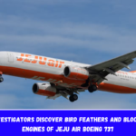 Crash Investigators Discover Bird Feathers and Blood in both Engines of Jeju Air Boeing 737