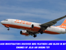 Crash Investigators Discover Bird Feathers and Blood in both Engines of Jeju Air Boeing 737