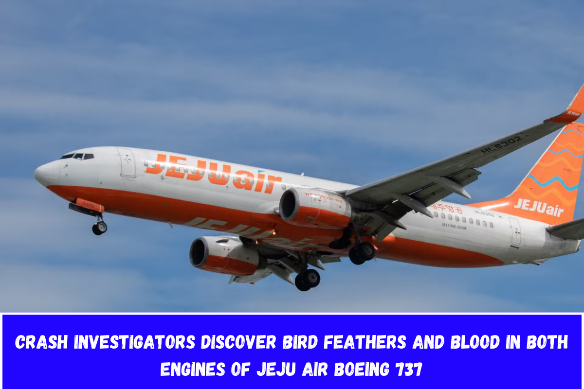 Crash Investigators Discover Bird Feathers and Blood in both Engines of Jeju Air Boeing 737