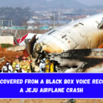 Data Recovered from a Black Box Voice Recorder in a Jeju Airplane Crash