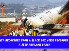 Data Recovered from a Black Box Voice Recorder in a Jeju Airplane Crash