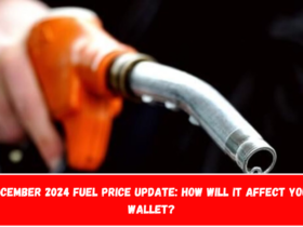 December 2024 Fuel Price Update How Will It Affect Your Wallet