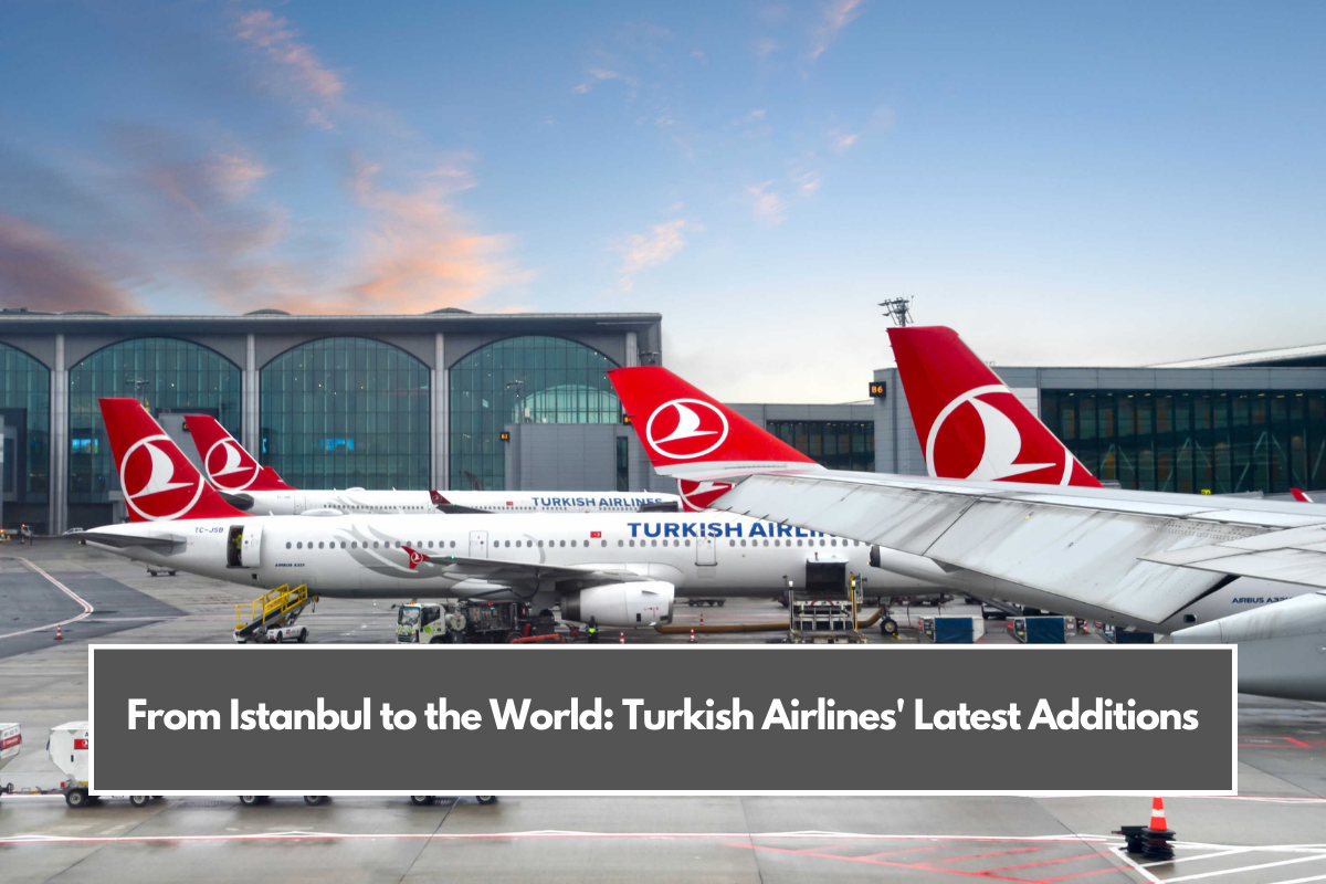 From Istanbul to the World: Turkish Airlines' Latest Additions