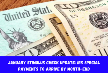 January Stimulus Check Update IRS Special Payments to Arrive by Month-End