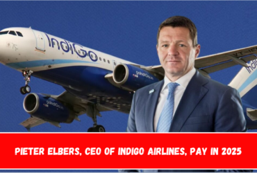 Pieter Elbers, CEO of IndiGo Airlines, Pay in 2025