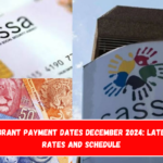 SASSA Grant Payment Dates December 2024 Latest Pay Rates and Schedule