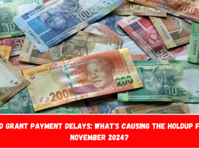 SRD Grant Payment Delays What's Causing the Holdup for November 2024