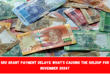 SRD Grant Payment Delays What's Causing the Holdup for November 2024