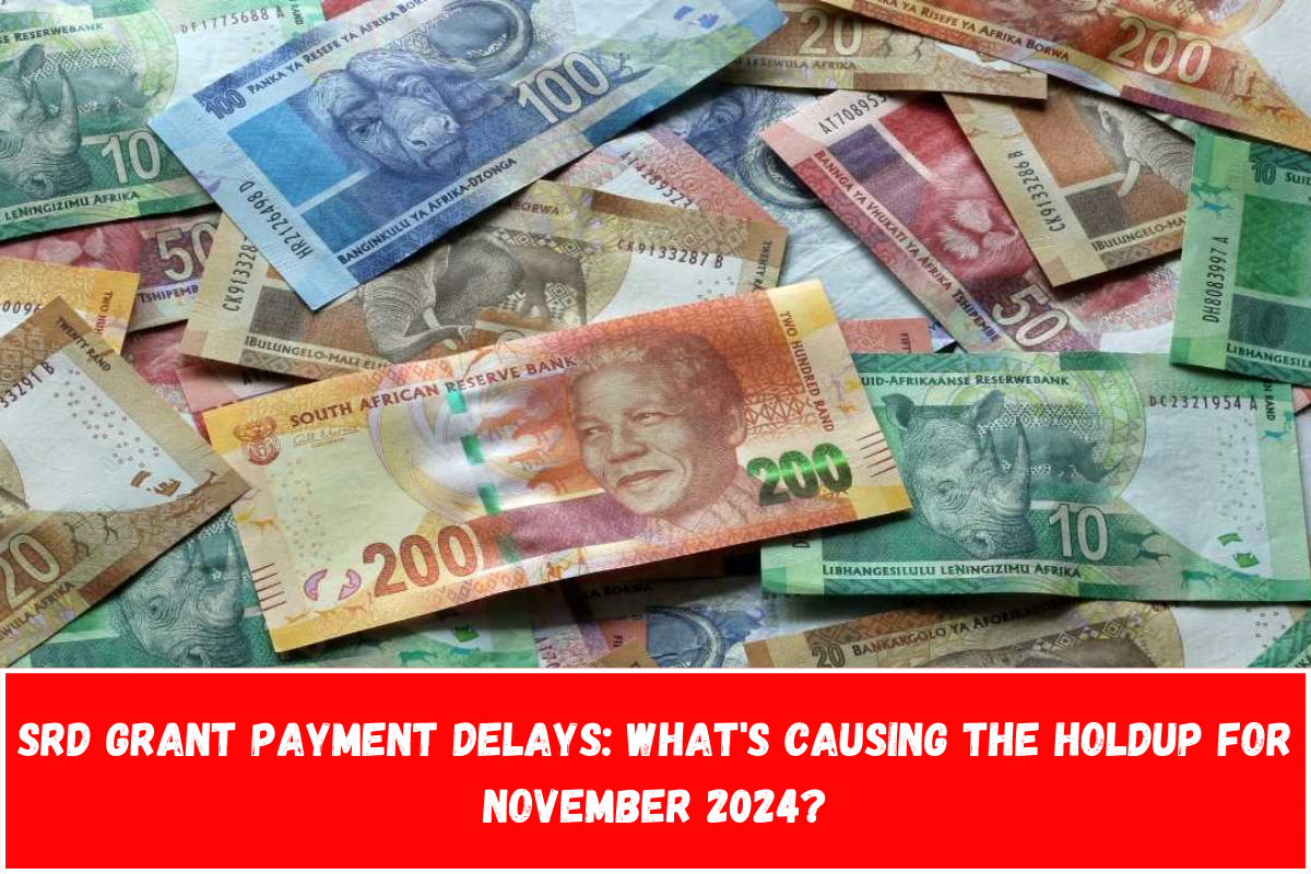 SRD Grant Payment Delays What's Causing the Holdup for November 2024