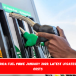 South Africa Fuel Price January 2025 Latest Updates and New Costs