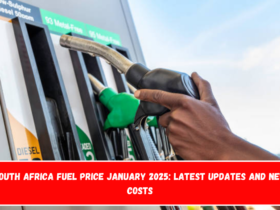 South Africa Fuel Price January 2025 Latest Updates and New Costs