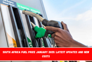 South Africa Fuel Price January 2025 Latest Updates and New Costs