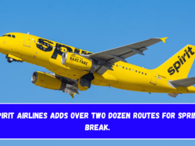 Spirit Airlines Adds Over Two Dozen Routes for Spring Break