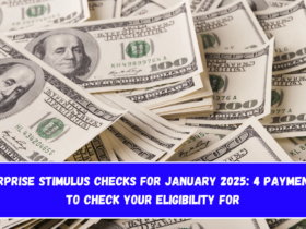 Surprise Stimulus Checks for January 2025 4 Payments to Check Your Eligibility For