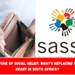 The Future of Social Relief What's Replacing the SRD Grant in South Africa