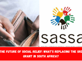 The Future of Social Relief What's Replacing the SRD Grant in South Africa