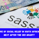 The Future of Social Relief in South Africa What's Next After the SRD Grant