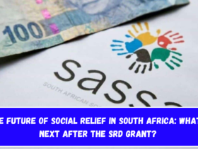 The Future of Social Relief in South Africa What's Next After the SRD Grant