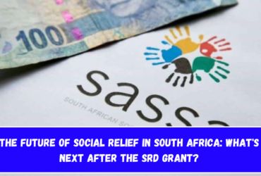 The Future of Social Relief in South Africa What's Next After the SRD Grant