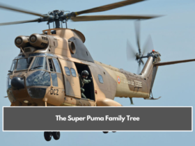 The Super Puma Family Tree