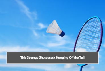 This Strange Shuttlecock Hanging Off the Tail