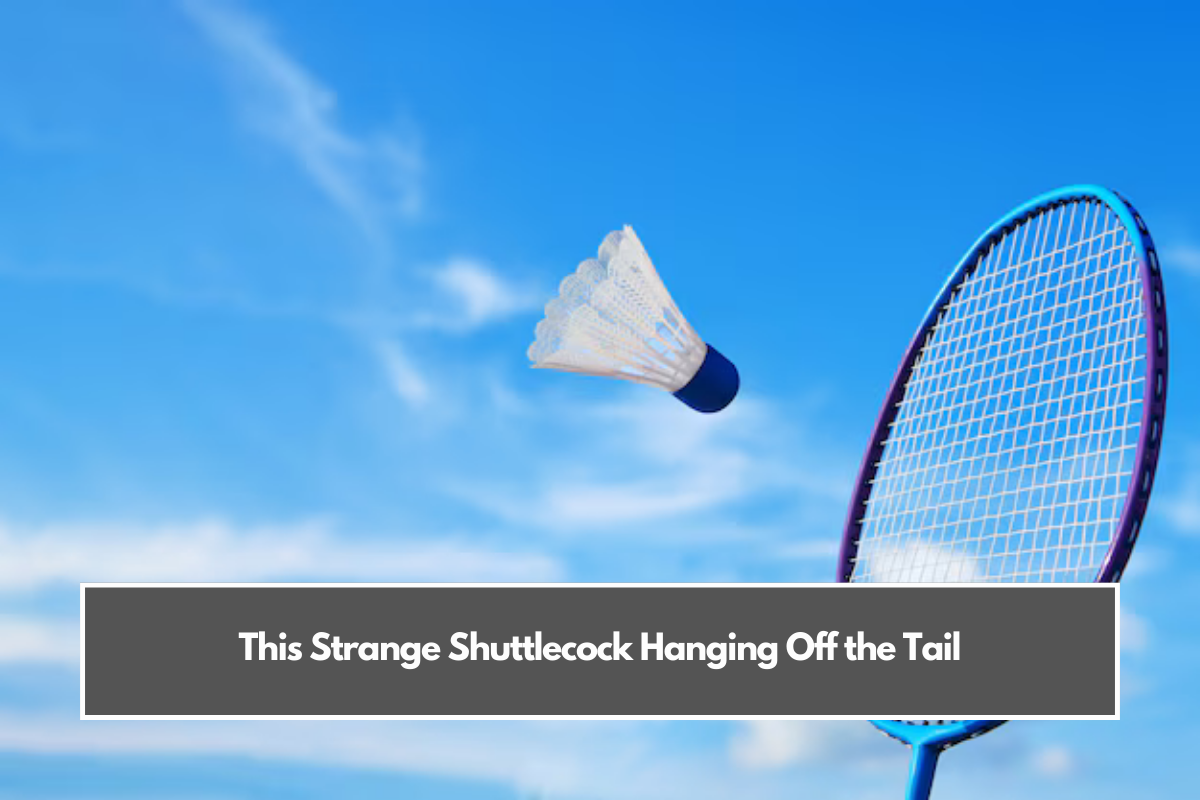 This Strange Shuttlecock Hanging Off the Tail