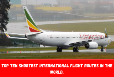 Top ten shortest international flight routes in the world.