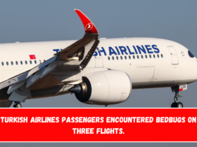 Turkish Airlines passengers encountered bedbugs on three flights.