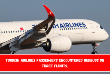 Turkish Airlines passengers encountered bedbugs on three flights.