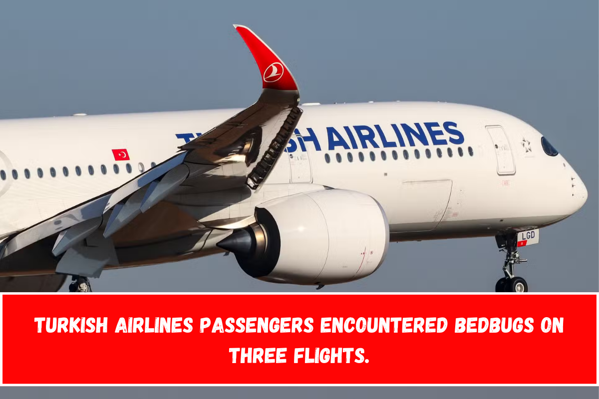 Turkish Airlines passengers encountered bedbugs on three flights.