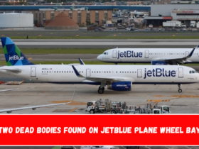 Two Dead Bodies Found on JetBlue Plane Wheel Bay