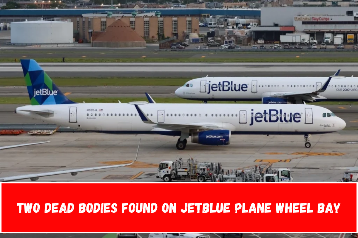 Two Dead Bodies Found on JetBlue Plane Wheel Bay