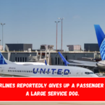 United Airlines reportedly gives up a passenger seat for a large service dog.